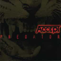 Accept Predator