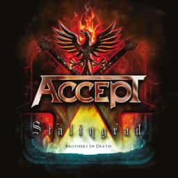 Accept Stalingrad